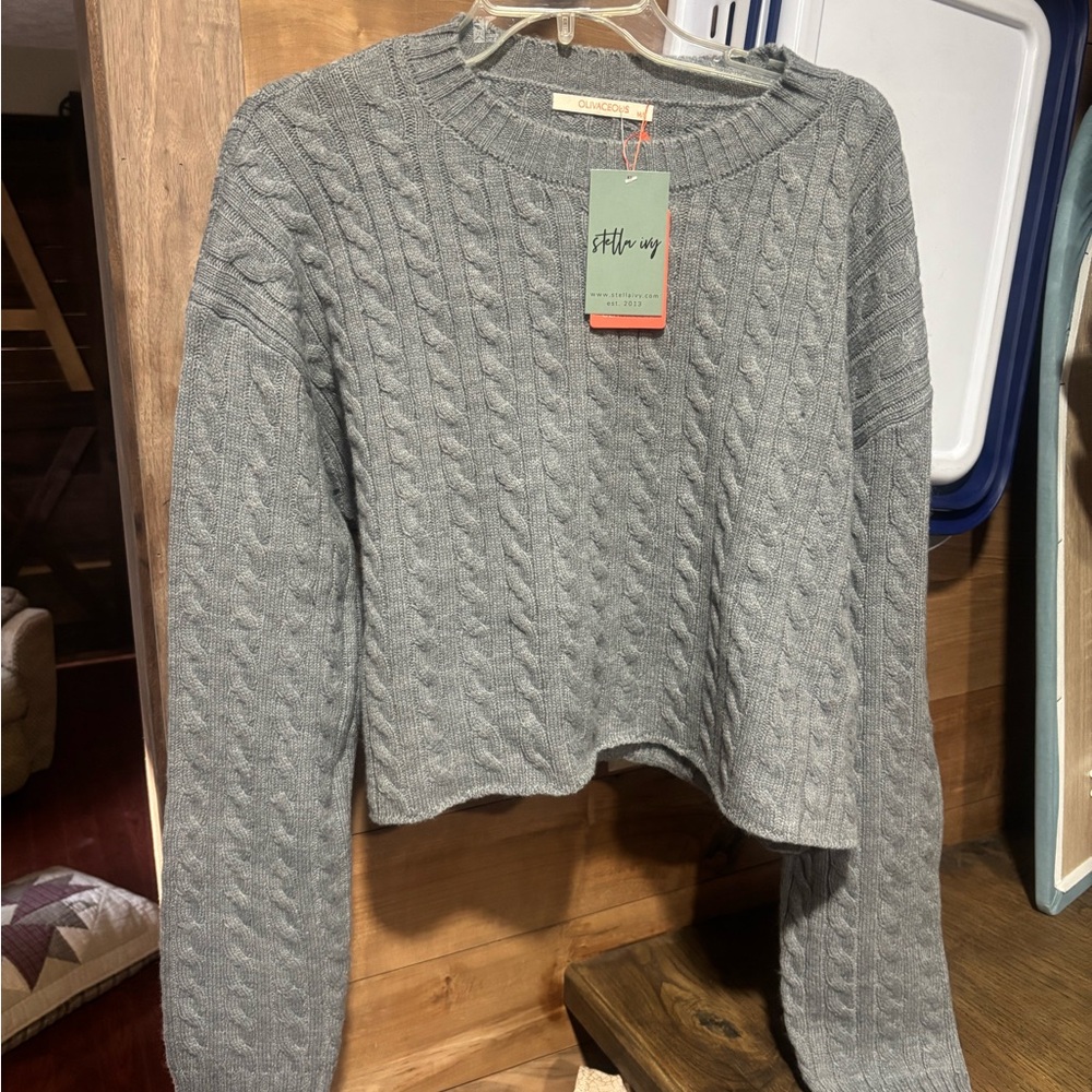 NWT Olivaceous gray crew neck sweater.  Women’s M/L